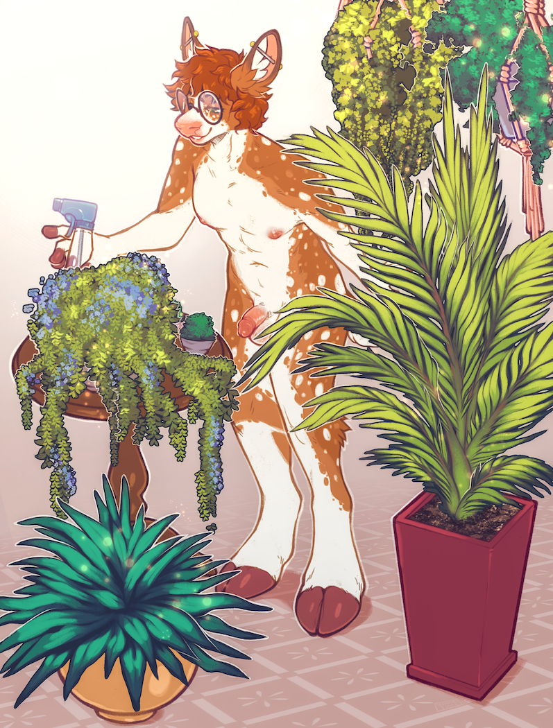 28 deerfreckle