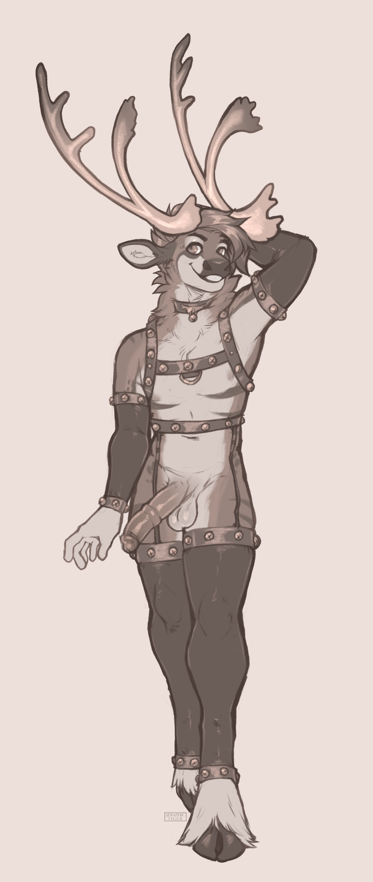 365 pupchase