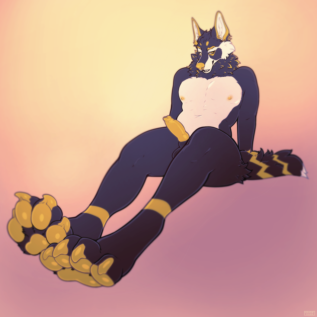 178 AnubisWolf_