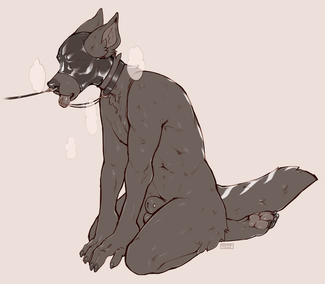 224 _sibey