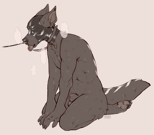 224 _sibey