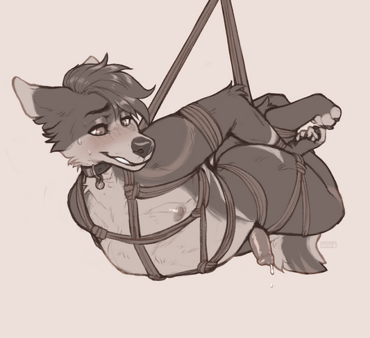 307 siighdog