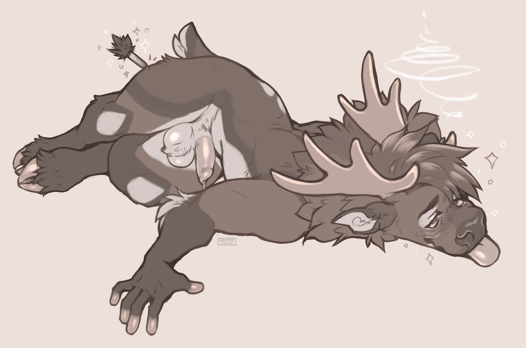 348 west.deers.gay