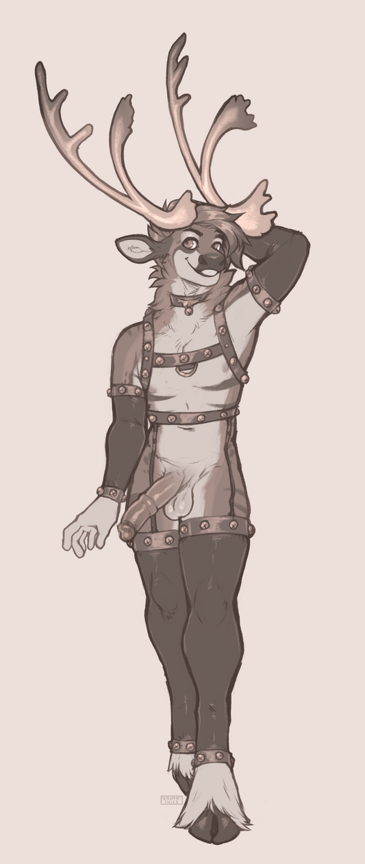 365 pupchase